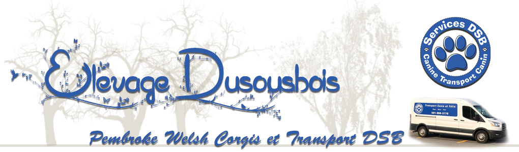 Dusousbois